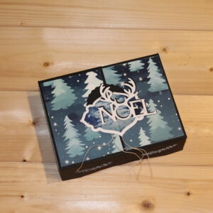 Boite cadeau sous les sapins