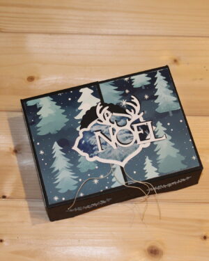 Boite cadeau sous les sapins